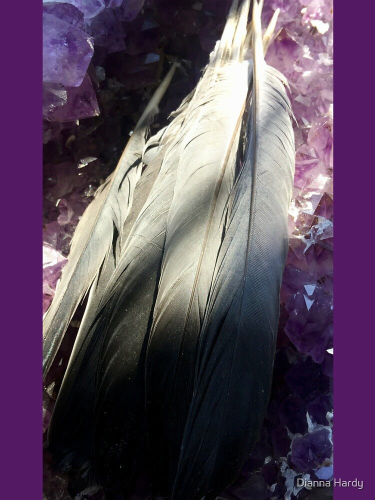 Sunlight on Feathers on Amethyst by Dianna Hardy Art T-Shirts, Hoodie, Sweatshirt | BlankRebels.com (Image 3)