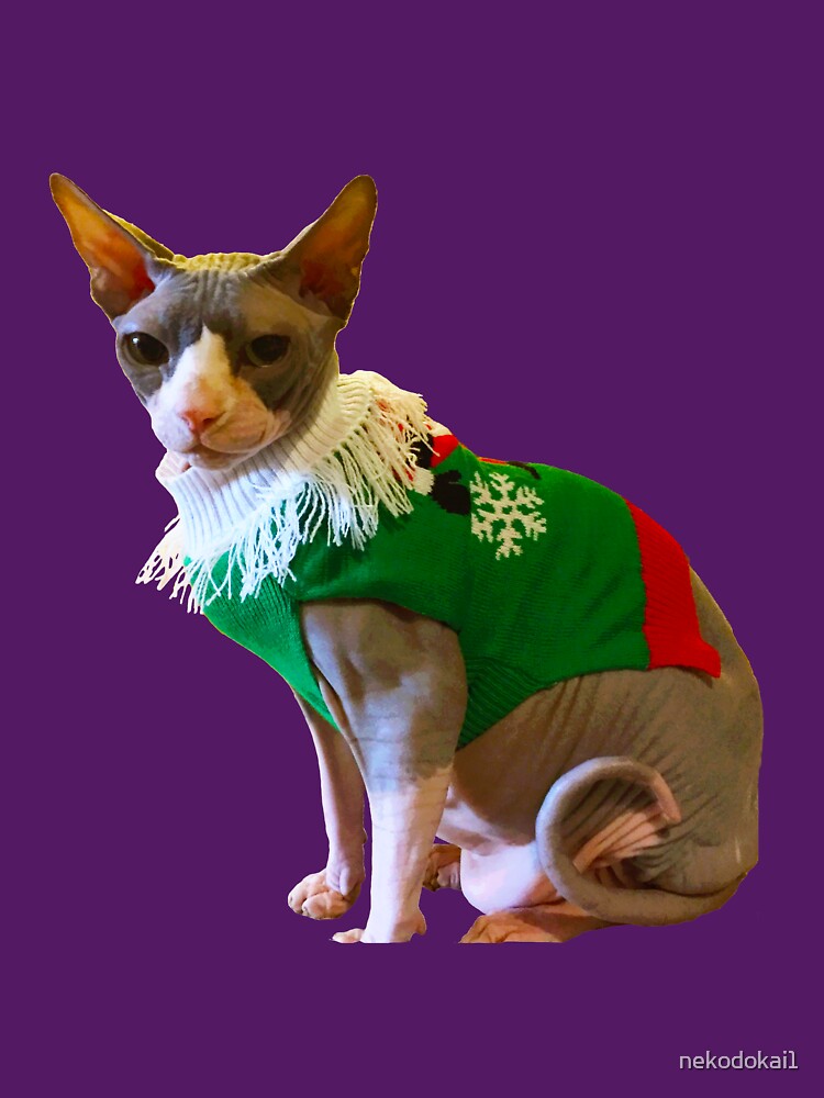 Hairless Cat Purple Background T-Shirts, Hoodie, Sweatshirt