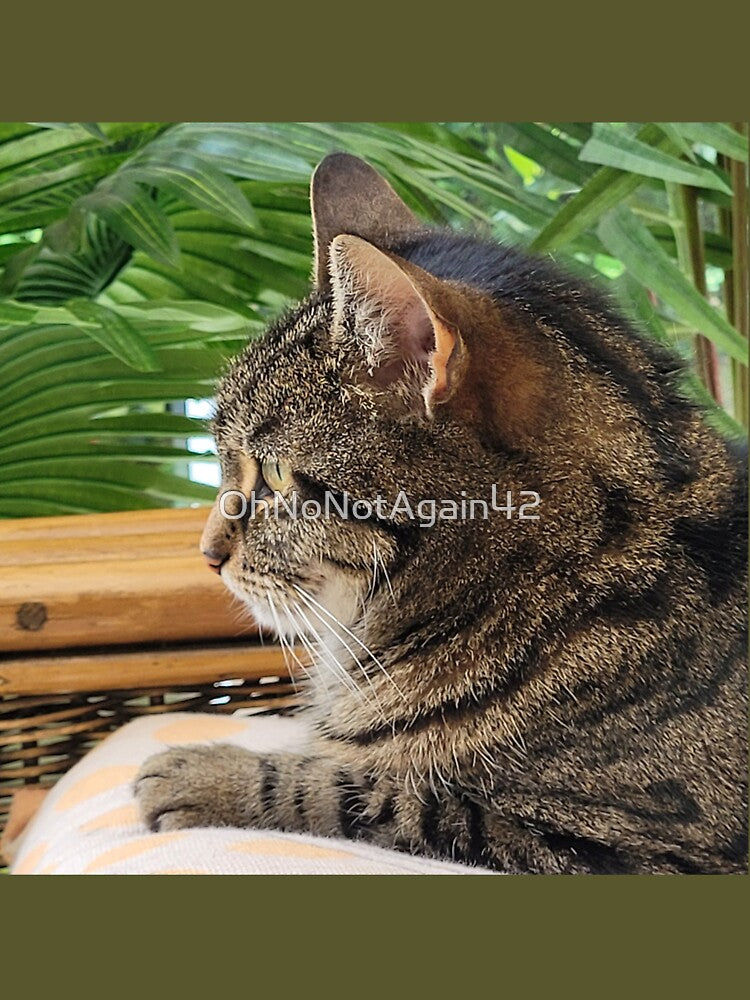 Rory my cat, thinking deep thoughts by OhNoNotAgain42 T-Shirts, Hoodie, Sweatshirt | BlankRebels.com (Image 3)