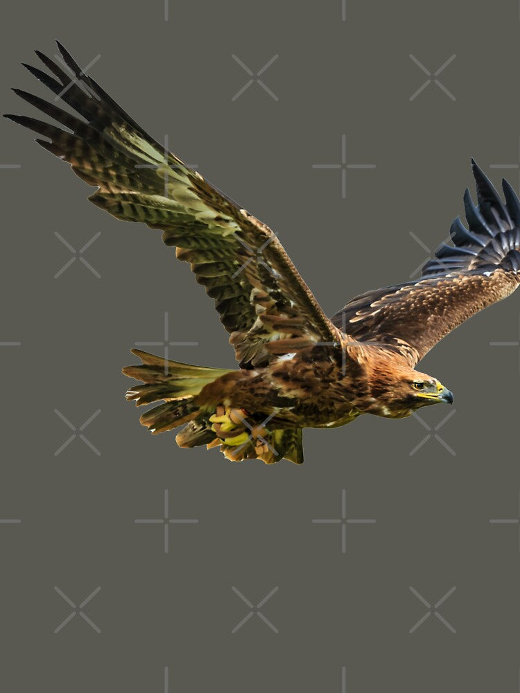 The Flight of the Eagle by Dalyndigital Photography T-Shirts, Hoodie, Sweatshirt | BlankRebels.com (Image 3)