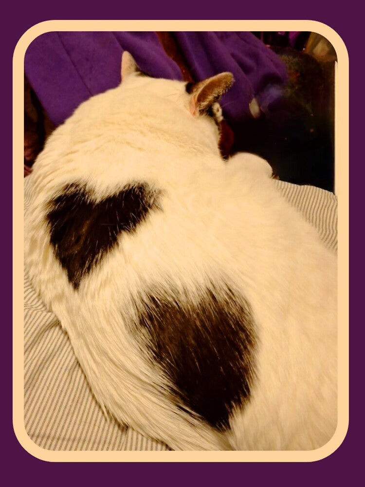 Cowboy the Manx: Two of Hearts by Oceandiana T-Shirts, Hoodie, Sweatshirt | BlankRebels.com (Image 3)