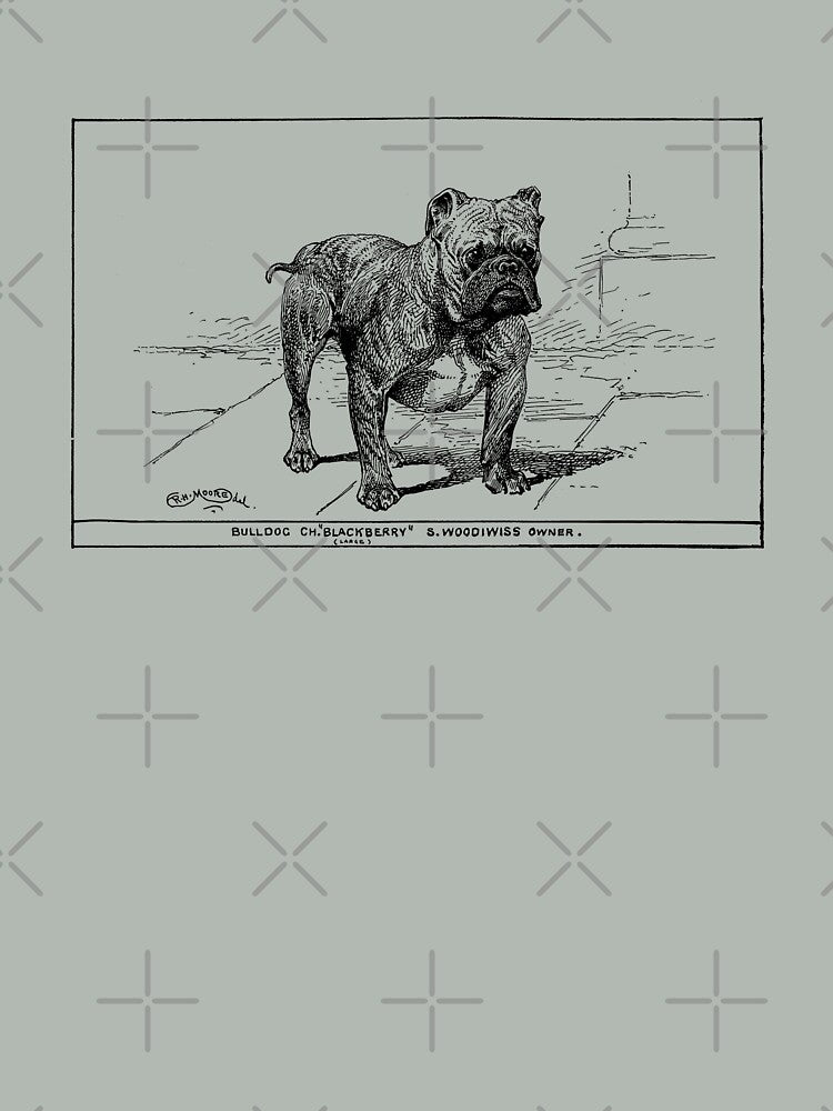 Bulldog - Vintage Sketch of dog types by olivergraham T-Shirts, Hoodie, Sweatshirt | BlankRebels.com (Image 2)