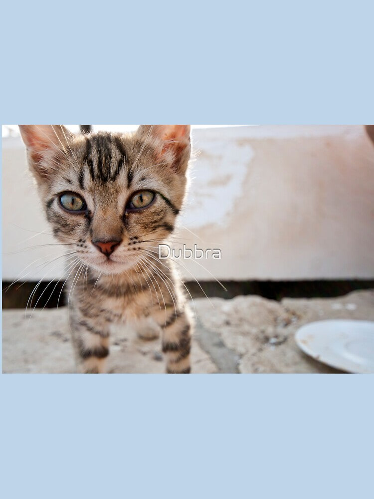 Kitty Cat by Dubbra T-Shirts, Hoodie, Sweatshirt | BlankRebels.com (Image 3)