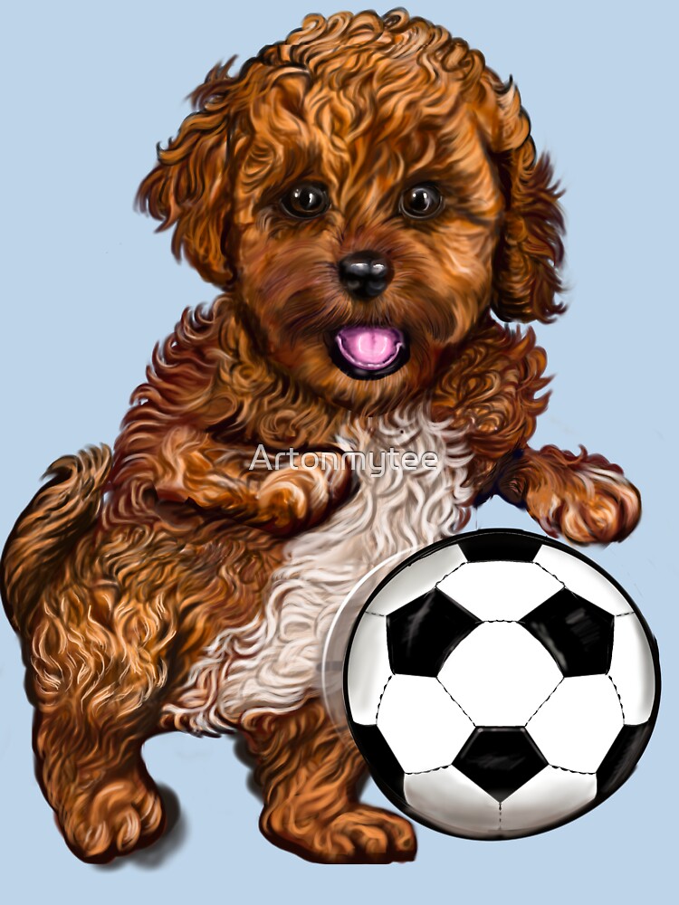 Cavapoo football dog - Soccer playing Cavoodle puppy cavalier king charles spaniel poodle by Artonmytee