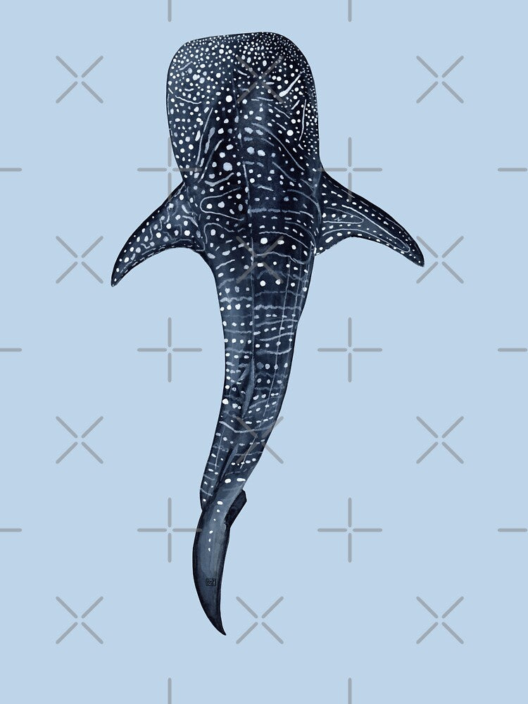 WHALE SHARK II-Rhincodon typus by BEATRIZ ABAITUA