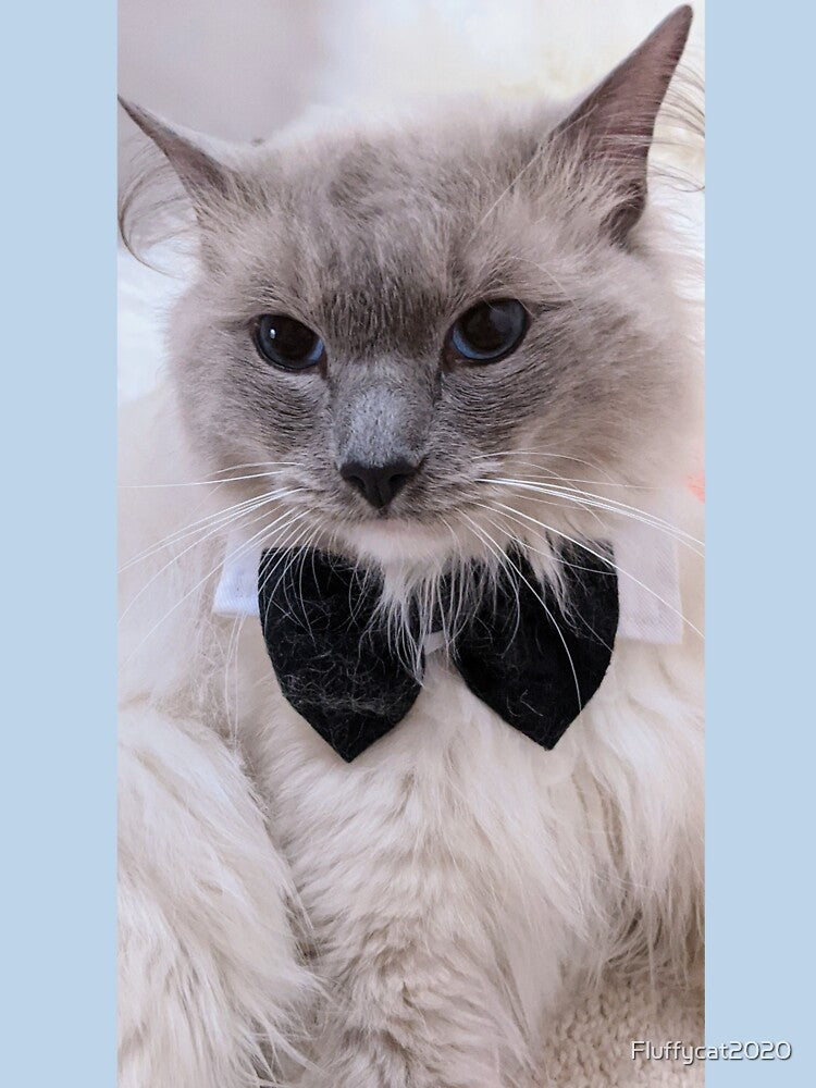 Ragdoll cat by Fluffycat2020 T-Shirts, Hoodie, Sweatshirt | BlankRebels.com (Image 3)