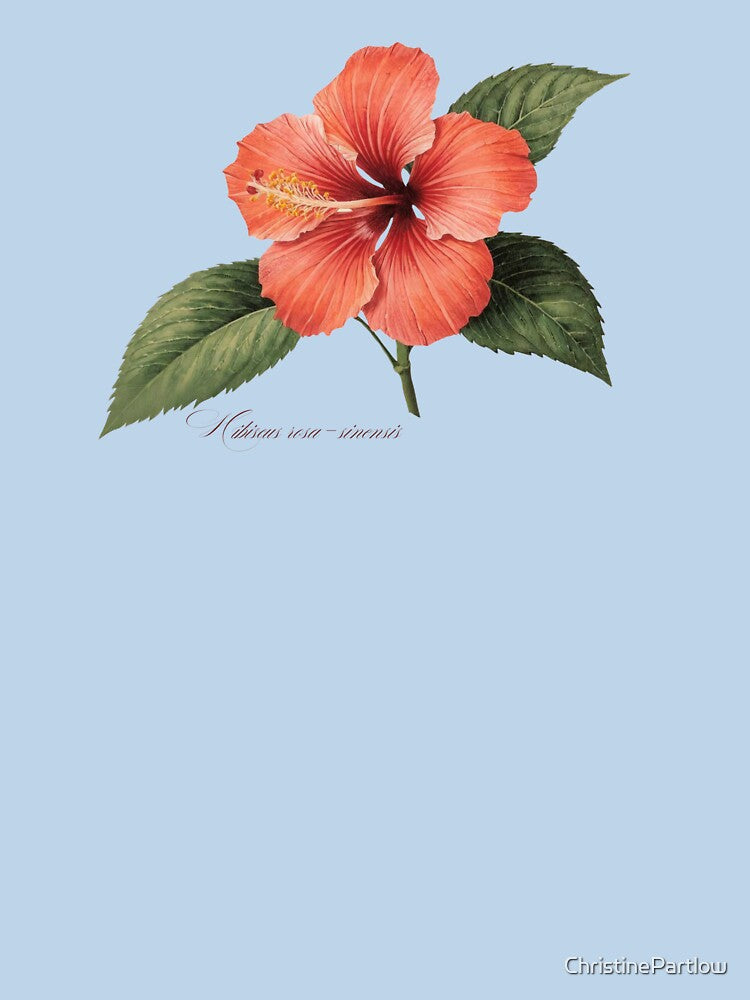 Hibiscus rosa-sinensis | Flowering Branch Botanical Illustration (No Background) by ChristinePartlow T-Shirts,... (Image 3)