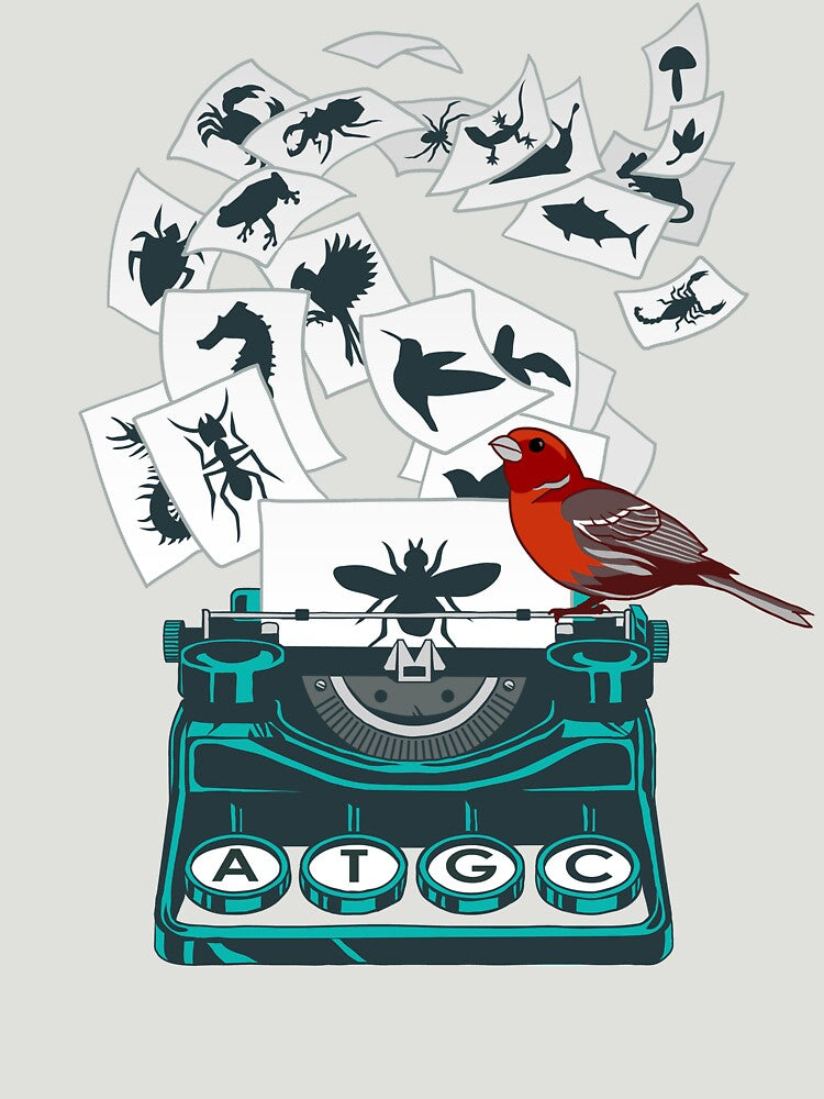 Alphabet of Life by Alan Kennedy