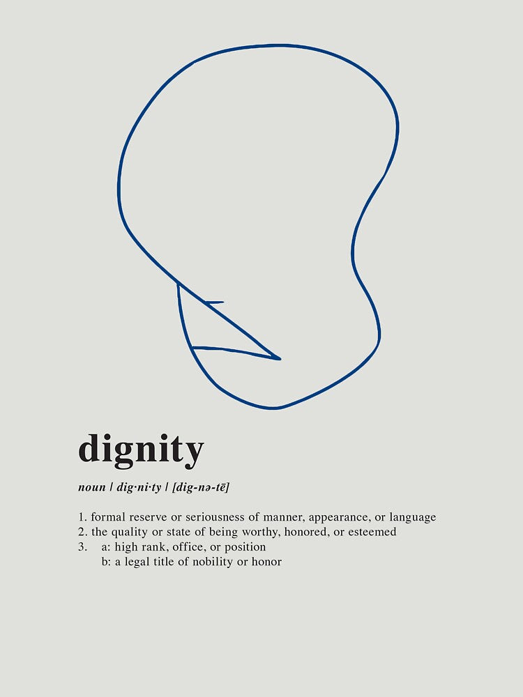 It's Dignity! by davecarden T-Shirts, Hoodie, Sweatshirt | BlankRebels.com (Image 3)