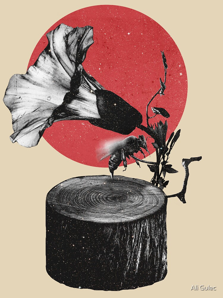 Gramophone by Ali Gulec