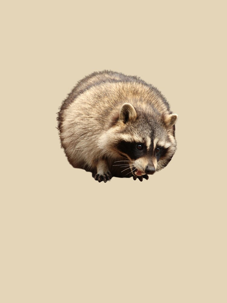 Cute chubby raccoon by Spuffy Dan T-Shirts, Hoodie, Sweatshirt | BlankRebels.com (Image 3)