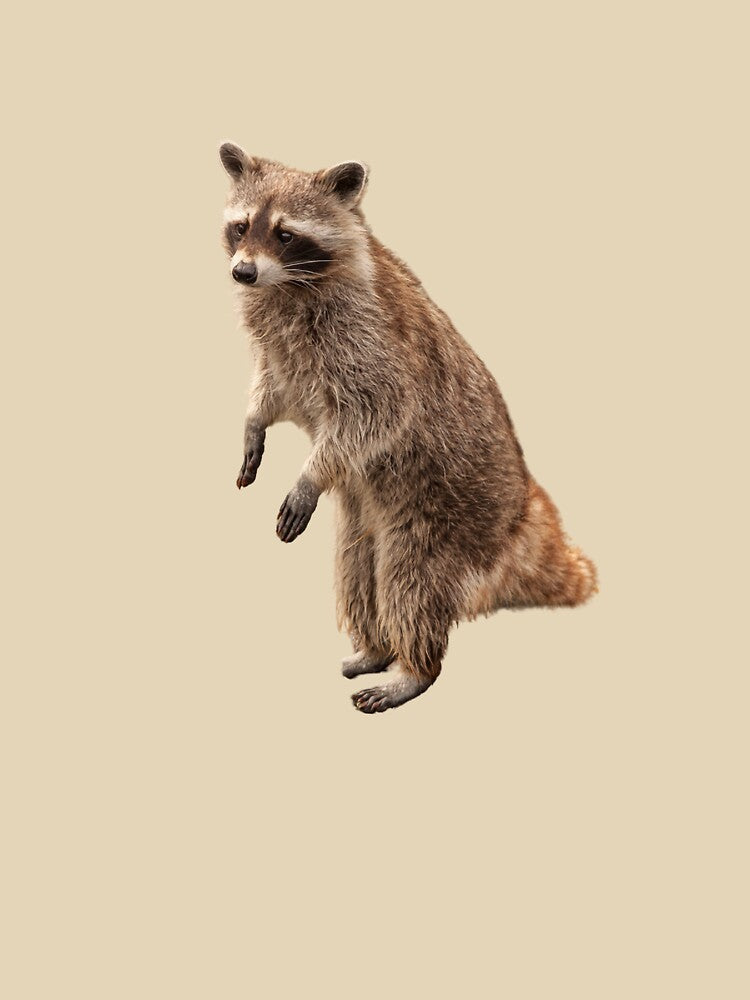 Raccoon by Spuffy Dan T-Shirts, Hoodie, Sweatshirt | BlankRebels.com (Image 3)