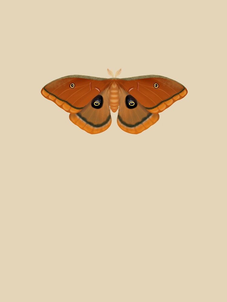 Polyphemus Moth T-Shirts, Hoodie, Sweatshirt