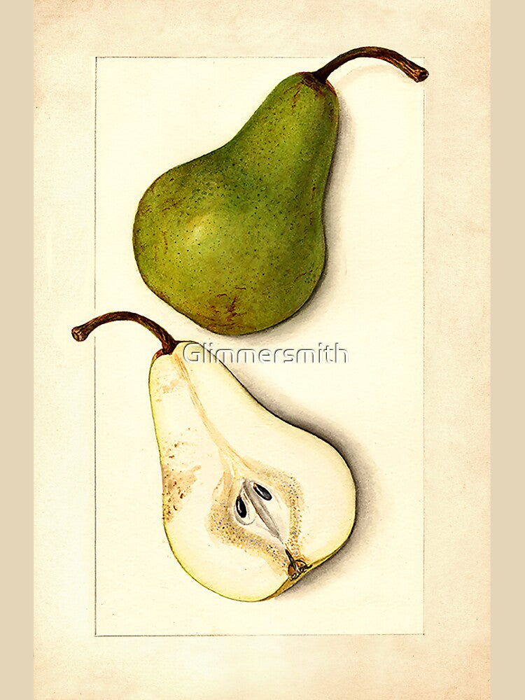 Vintage Botanical Pear Watercolor Fruit Painting by Glimmersmith T-Shirts, Hoodie, Sweatshirt | BlankRebels.com (Image 3)