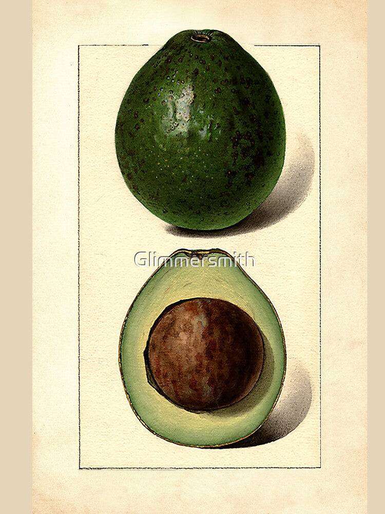 Vintage Botanical Fruit painting Wagner Avocado by Glimmersmith T-Shirts, Hoodie, Sweatshirt | BlankRebels.com (Image 3)