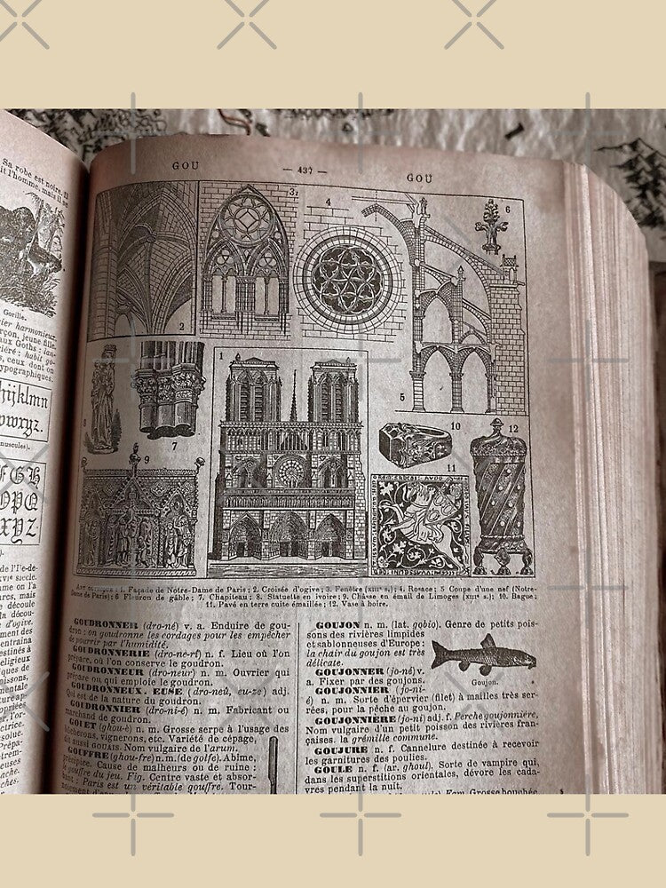 A French Dictionary from the early 1900s by Gothicrelics T-Shirts, Hoodie, Sweatshirt | BlankRebels.com (Image 3)