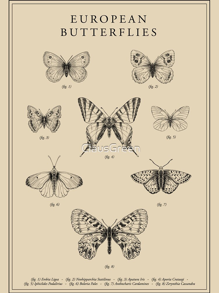 European Butterflies Vintage T-Shirts, Hoodie, Sweatshirt