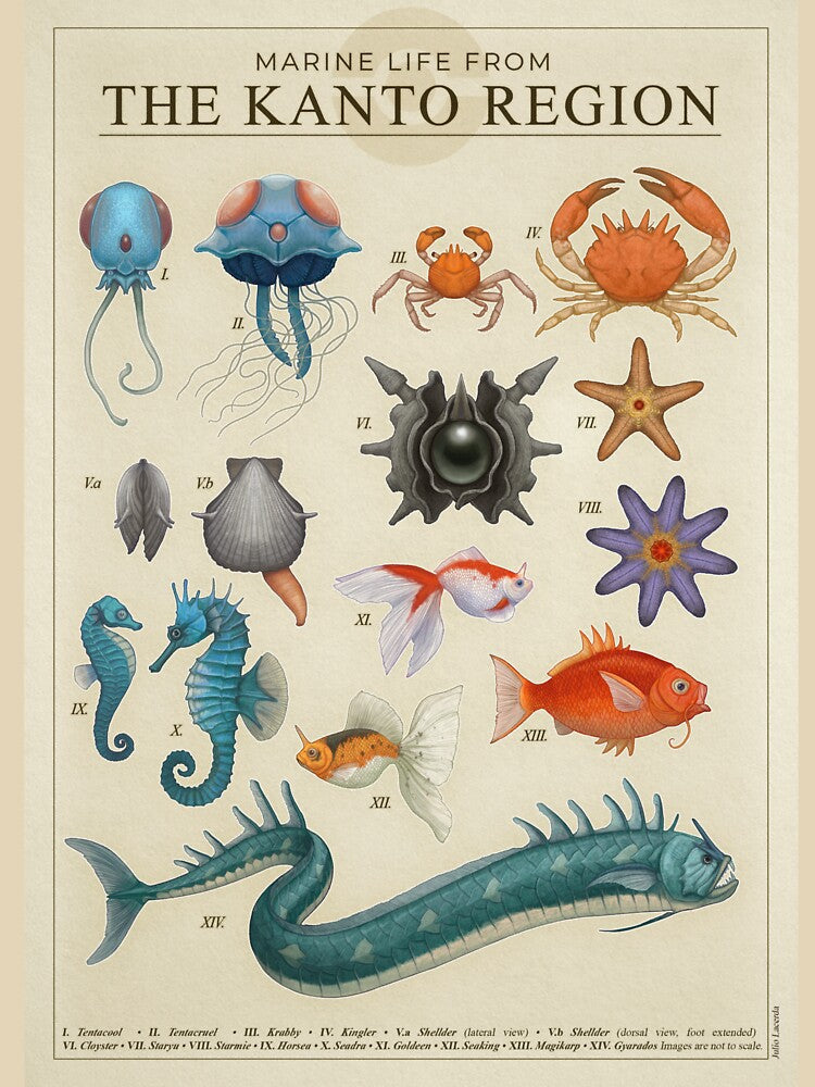 Marine Life from Kanto by Julio Lacerda T-Shirts, Hoodie, Sweatshirt | BlankRebels.com (Image 3)