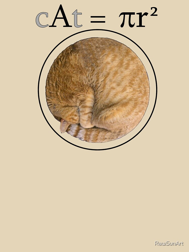 cAt = πr^2 by RawSunArt T-Shirts, Hoodie, Sweatshirt | BlankRebels.com (Image 3)