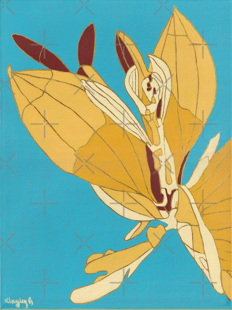 Soapbrush Wattle (Acacia holosericea) – Contemporary Botanical Painting by hayleygpaints T-Shirts, Hoodie,... (Image 3)