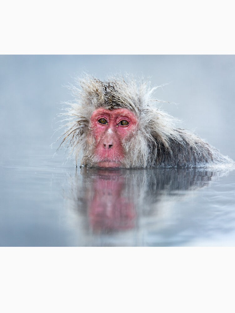 Wildlife Portrait - Snow Monkey Reflection (Japan) by Kellie Netherwood T-Shirts, Hoodie, Sweatshirt (Image 3)