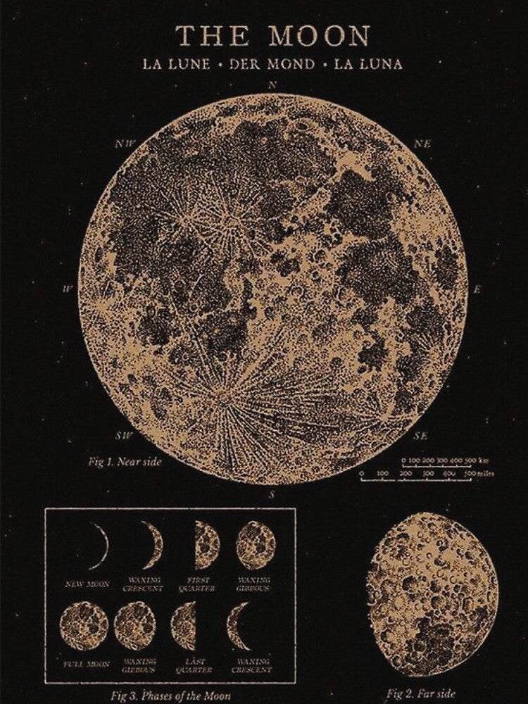 MOOn by strangeunicorn T-Shirts, Hoodie, Sweatshirt | BlankRebels.com (Image 2)
