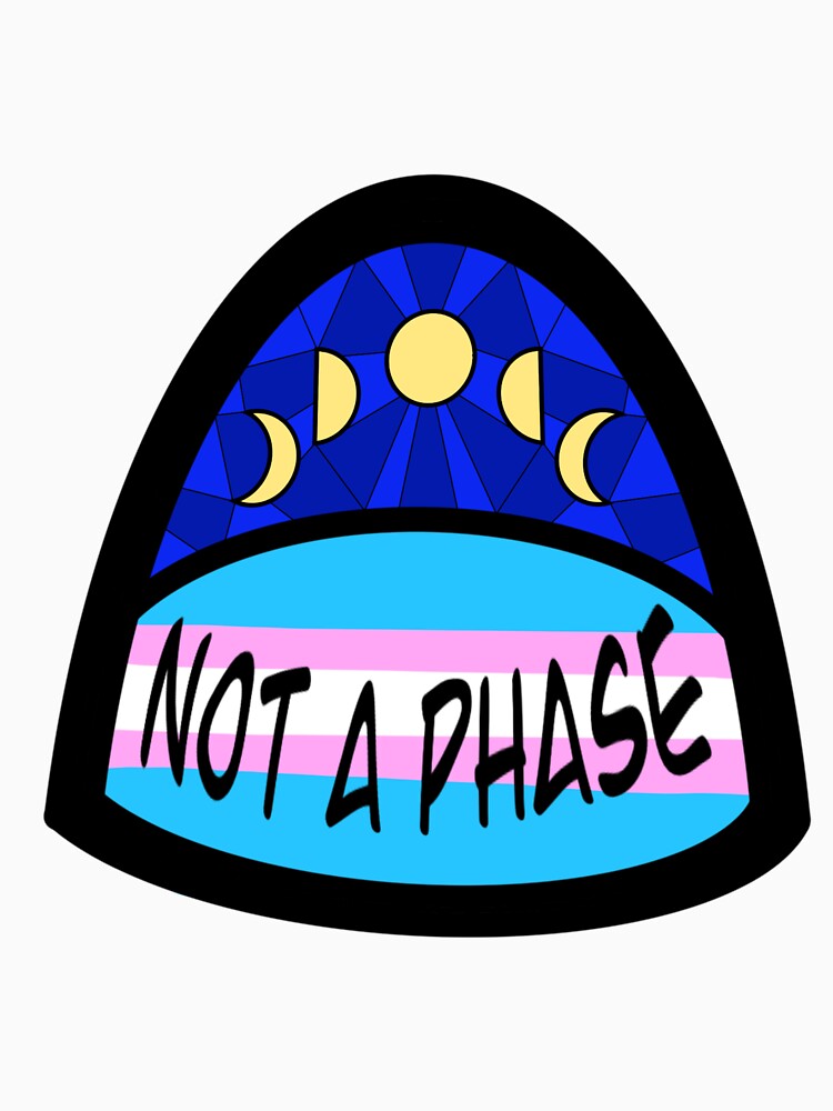 Not a Phase Transgender Flag by CuriousRune T-Shirts, Hoodie, Sweatshirt | BlankRebels.com (Image 3)