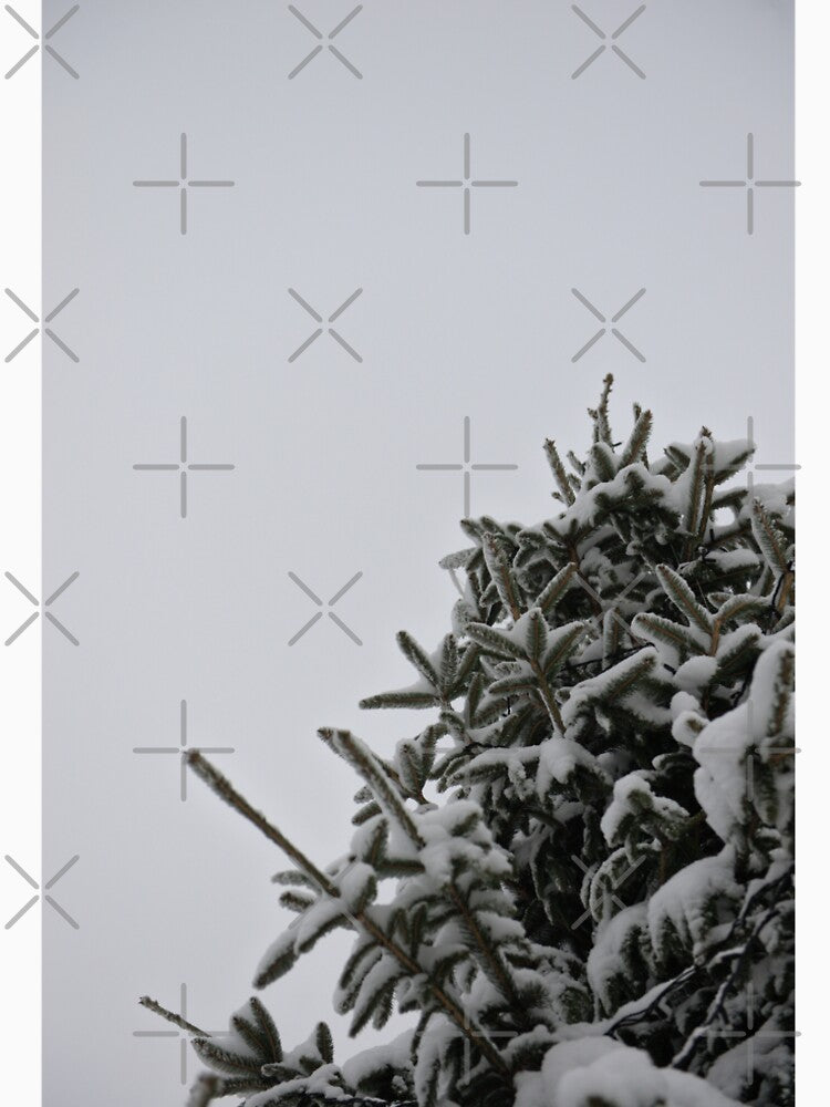 Snow covered fir tree by iam01110011