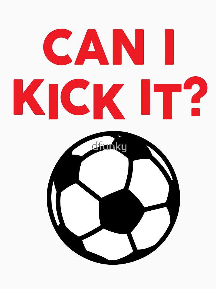 CAN I KICK IT? - SOCCER BALL by dfunky