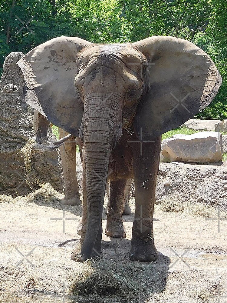 African Elephant by priesterjen T-Shirts, Hoodie, Sweatshirt | BlankRebels.com (Image 3)