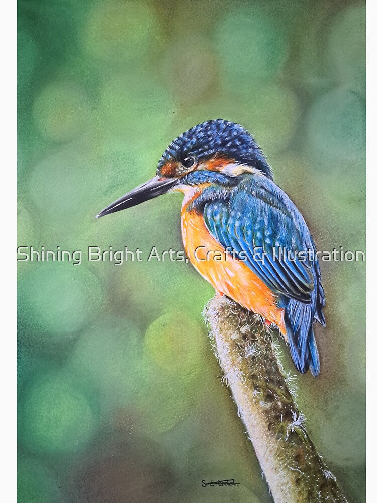 The Perching Kingfisher by Shining Bright Arts, Crafts & Illustration T-Shirts, Hoodie, Sweatshirt (Image 3)