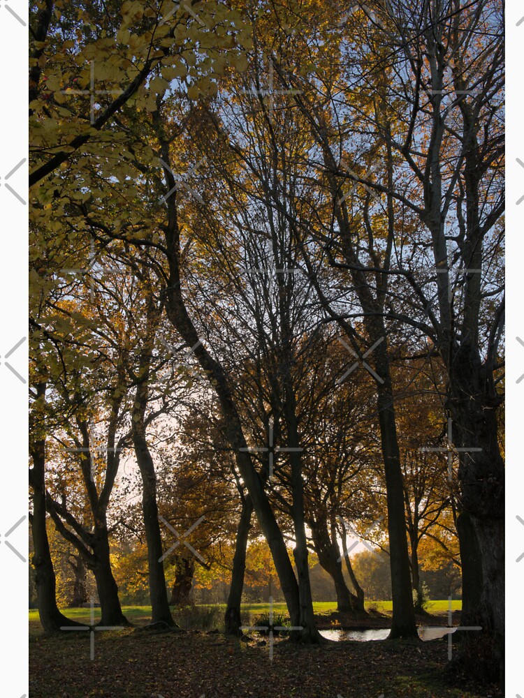The sweet taste of autumn by iam01110011 T-Shirts, Hoodie, Sweatshirt | BlankRebels.com (Image 3)