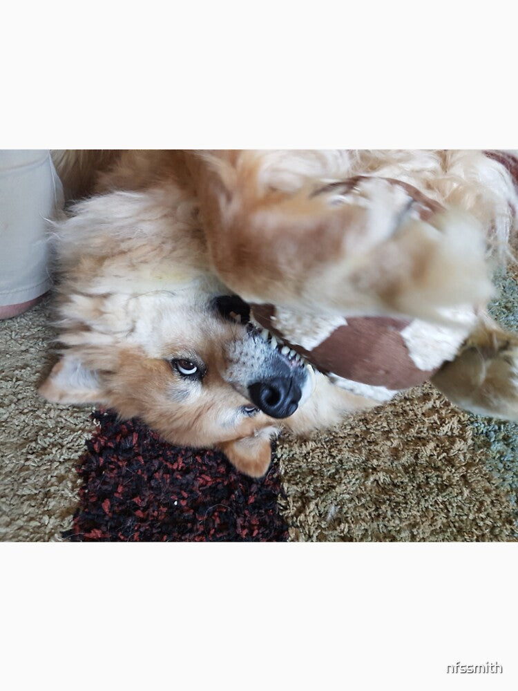 Marley upside down with her soccer ball by nfssmith