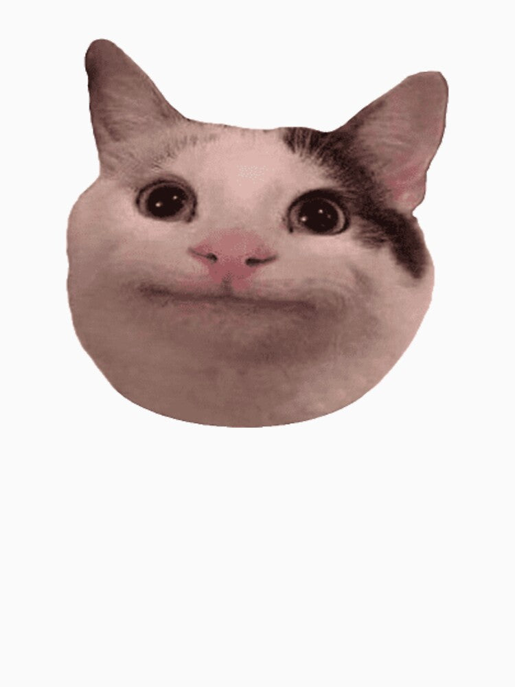 Funny Cat Beluga Meme by Everyday Studio T-Shirts, Hoodie, Sweatshirt | BlankRebels.com (Image 3)