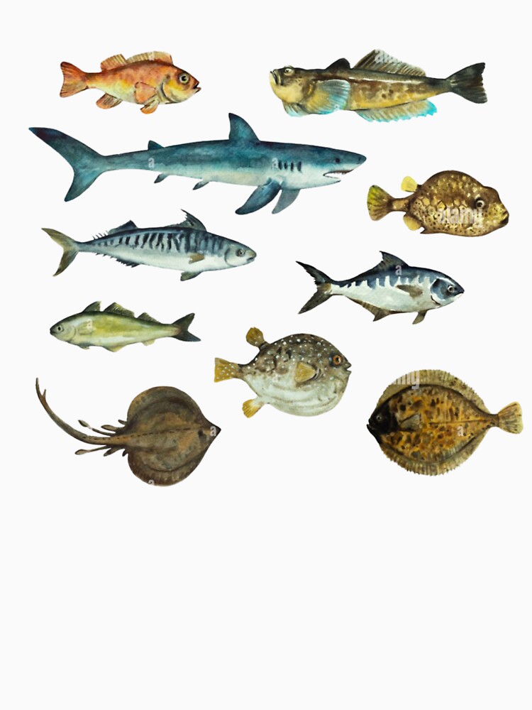 Ocean Creatures Vibe by Justagirl444 T-Shirts, Hoodie, Sweatshirt | BlankRebels.com (Image 2)