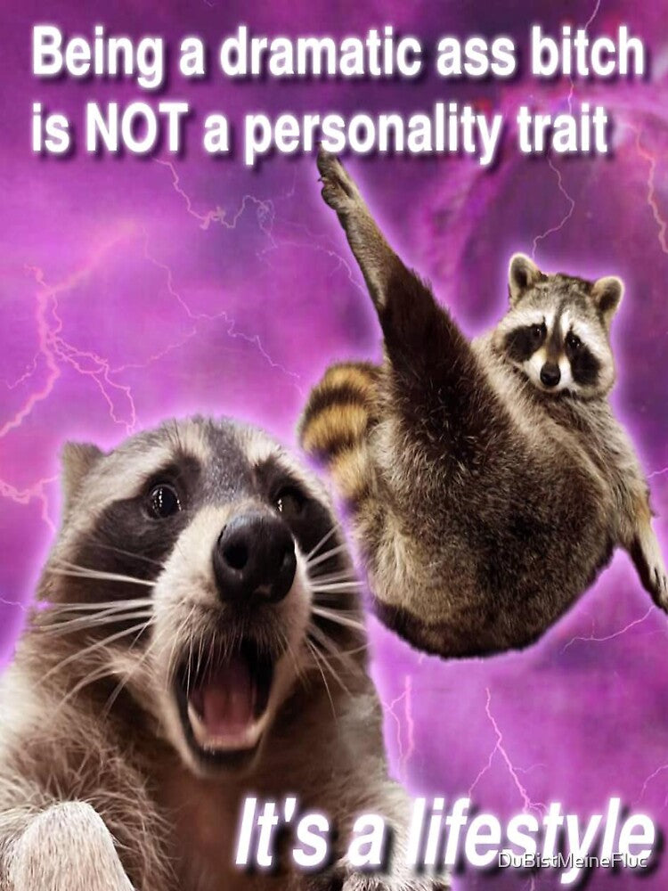 Being a dramatic ass b**ch is not personality trait, it's a lifestyle by DuBistMeineFluc T-Shirts, Hoodie,... (Image 3)