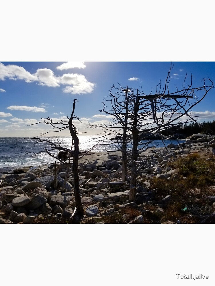 Ocean Side, Wild and Free by Totallyalive T-Shirts, Hoodie, Sweatshirt | BlankRebels.com (Image 3)