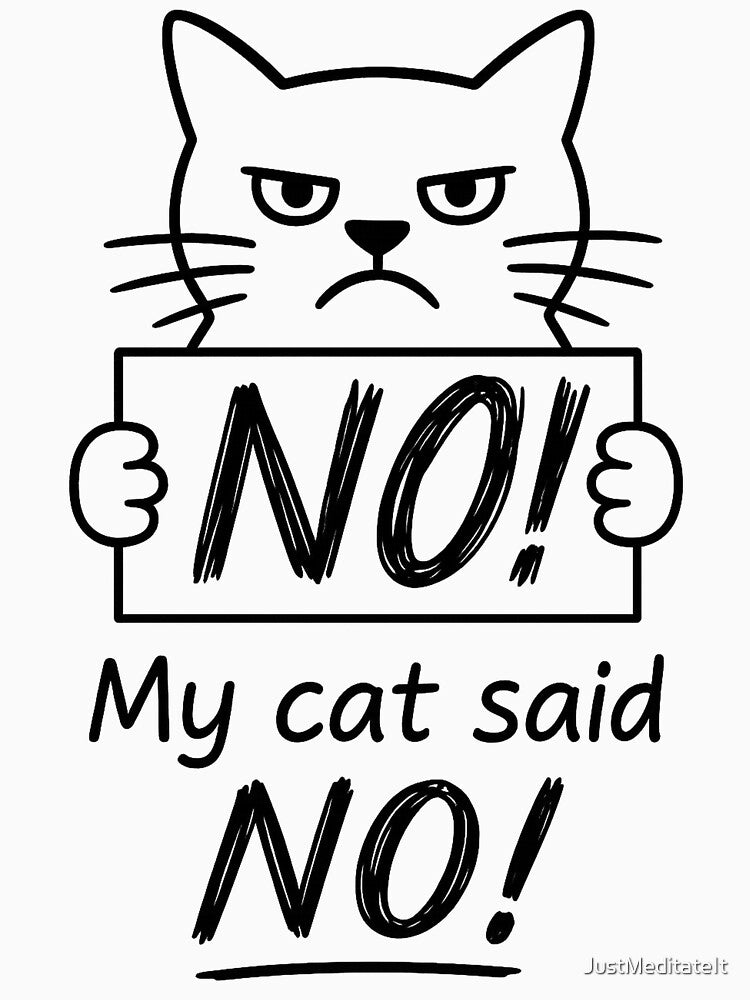 NO, My Cat Said NO – Funny T-Shirt and Hoodie for Cat Lovers – Cozy Chill Vibes by JustMeditateIt Sweatshirt (Image 3)