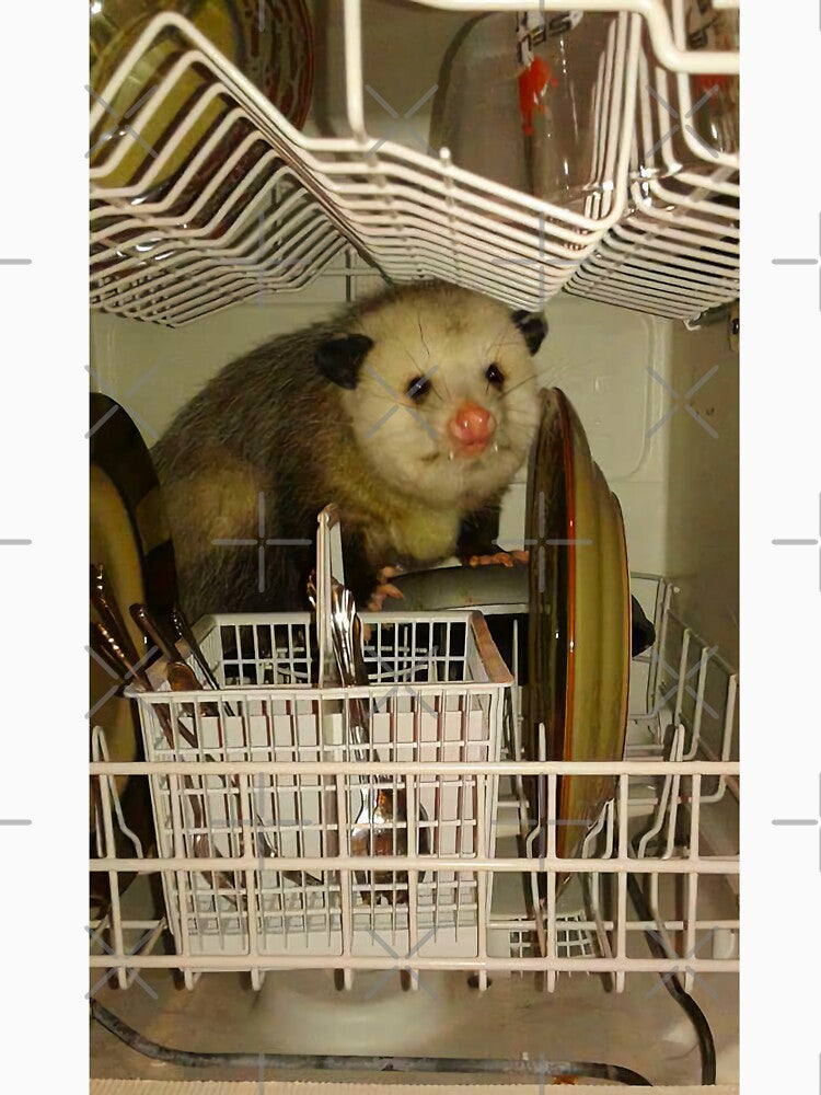 Dishwasher Possum Meme by fomodesigns