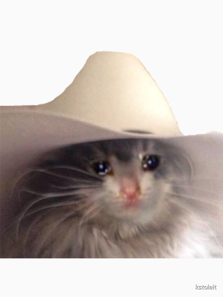 sad cowboy cat by kstoleit T-Shirts, Hoodie, Sweatshirt | BlankRebels.com (Image 3)
