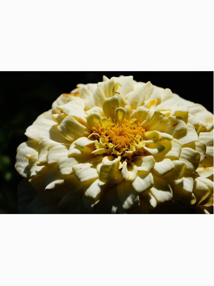 Flower by alwaysnicole T-Shirts, Hoodie, Sweatshirt | BlankRebels.com (Image 3)