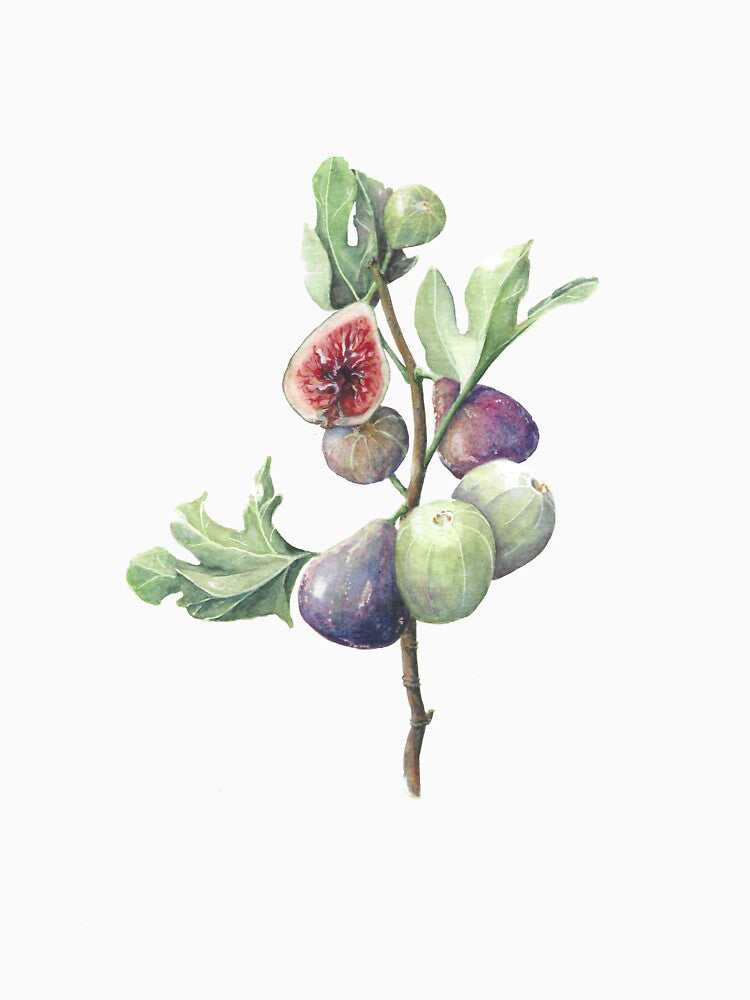 Fig season by Naomi-Bulger T-Shirts, Hoodie, Sweatshirt | BlankRebels.com (Image 3)