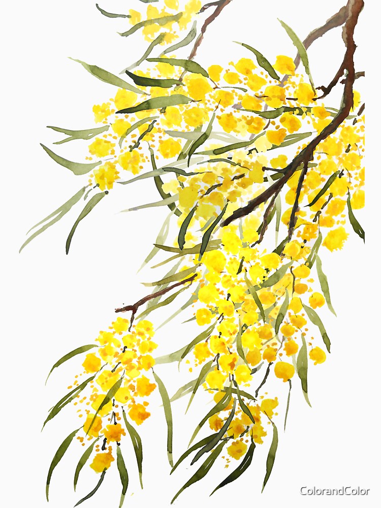 hand painted golden wattle flower watercolor by ColorandColor T-Shirts, Hoodie, Sweatshirt | BlankRebels.com (Image 3)