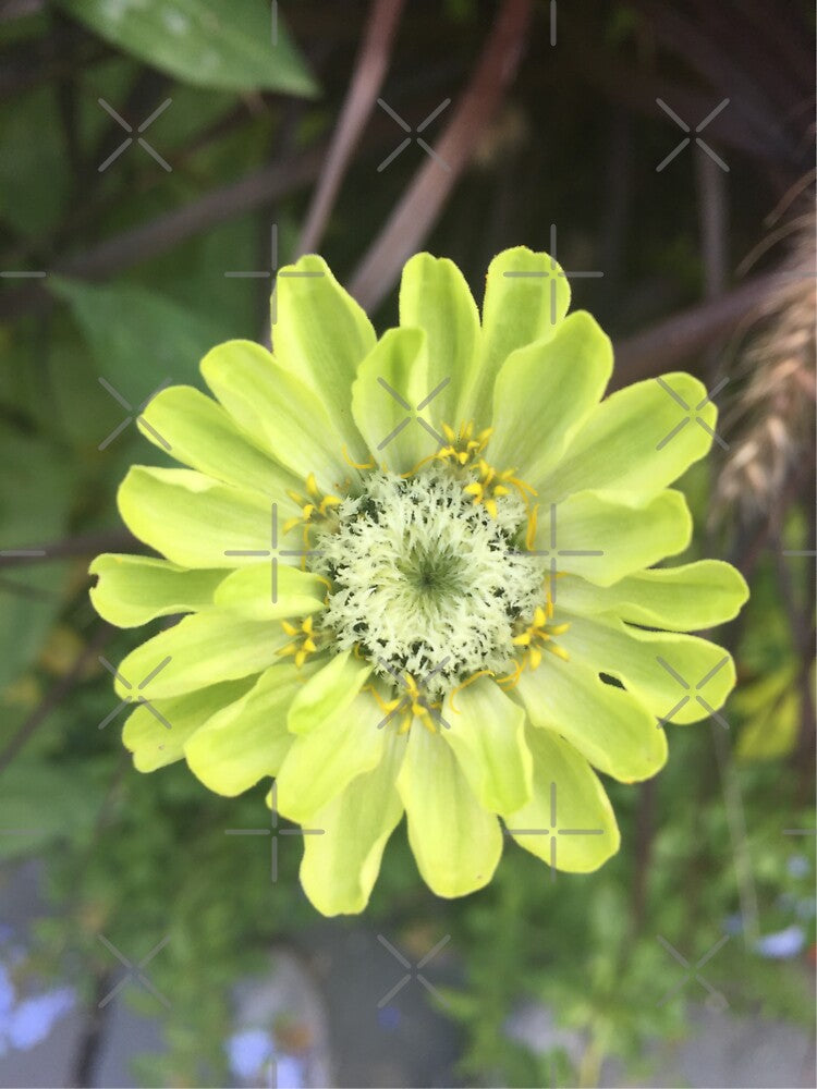 Green Flower by jcooper10 T-Shirts, Hoodie, Sweatshirt | BlankRebels.com (Image 3)