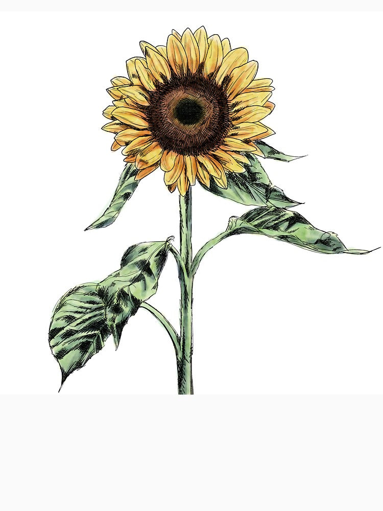 Sunflower Watercolor Botanical Illustration by Nathan Graves Art T-Shirts, Hoodie, Sweatshirt | BlankRebels.com (Image 3)