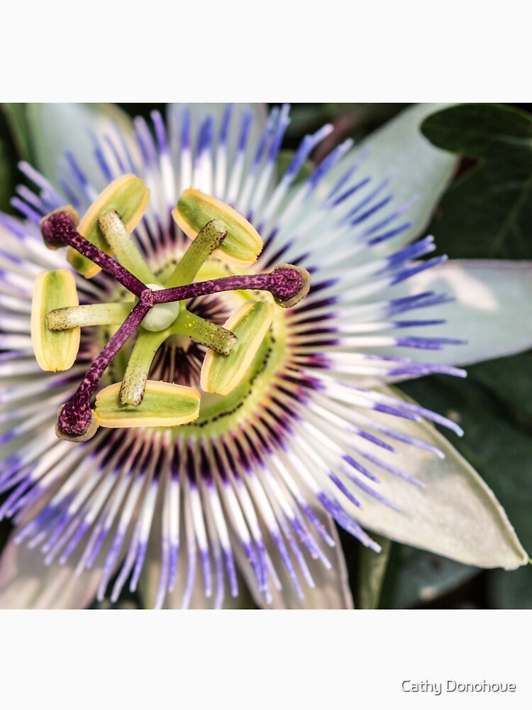 Passion Flower by Cathy Donohoue T-Shirts, Hoodie, Sweatshirt | BlankRebels.com (Image 3)