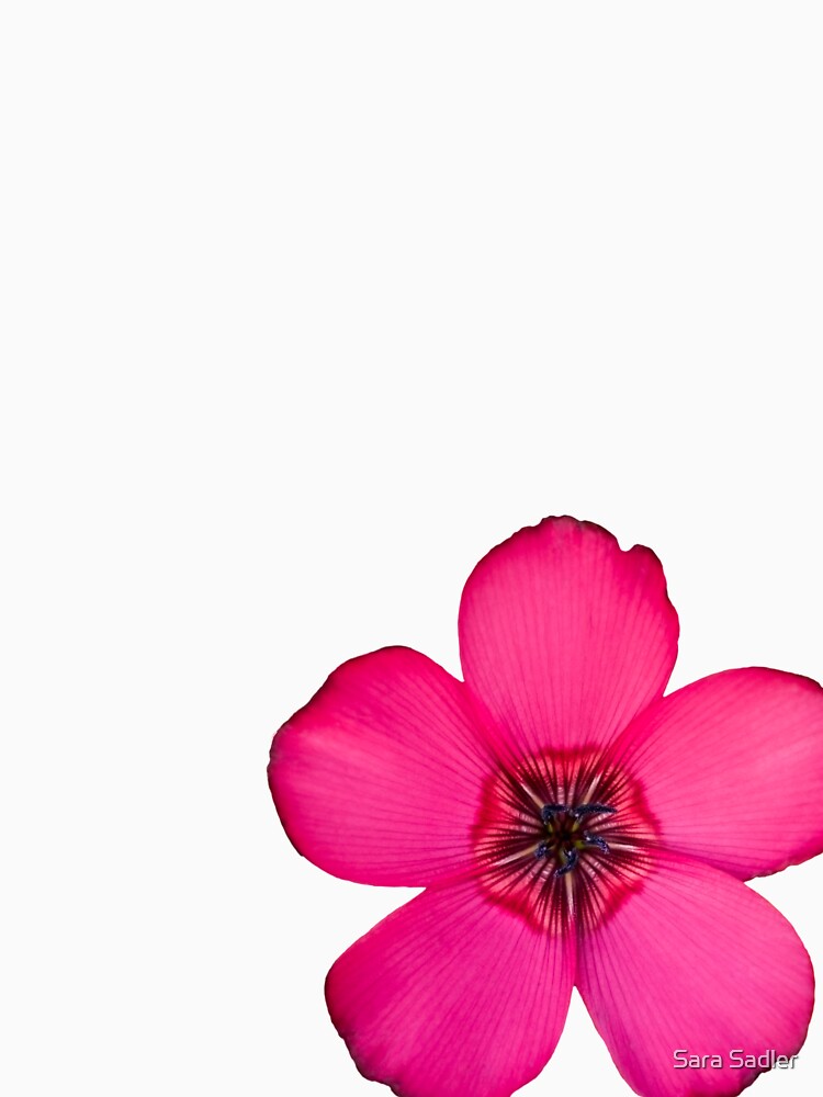 Red Flax flower by Sara Sadler T-Shirts, Hoodie, Sweatshirt | BlankRebels.com (Image 3)