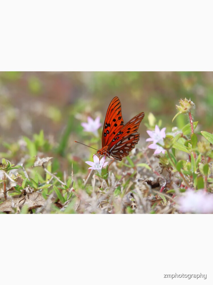 Butterfly by zmphotography T-Shirts, Hoodie, Sweatshirt | BlankRebels.com (Image 2)