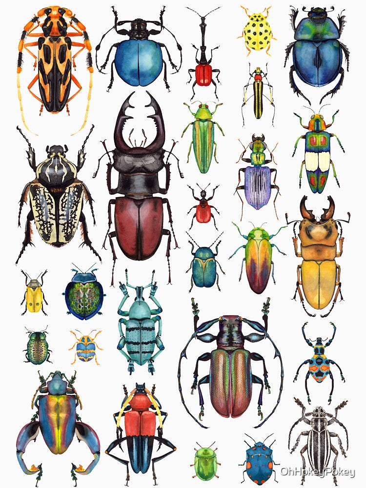 Beetle Mania by OhHokeyPokey T-Shirts, Hoodie, Sweatshirt | BlankRebels.com (Image 3)