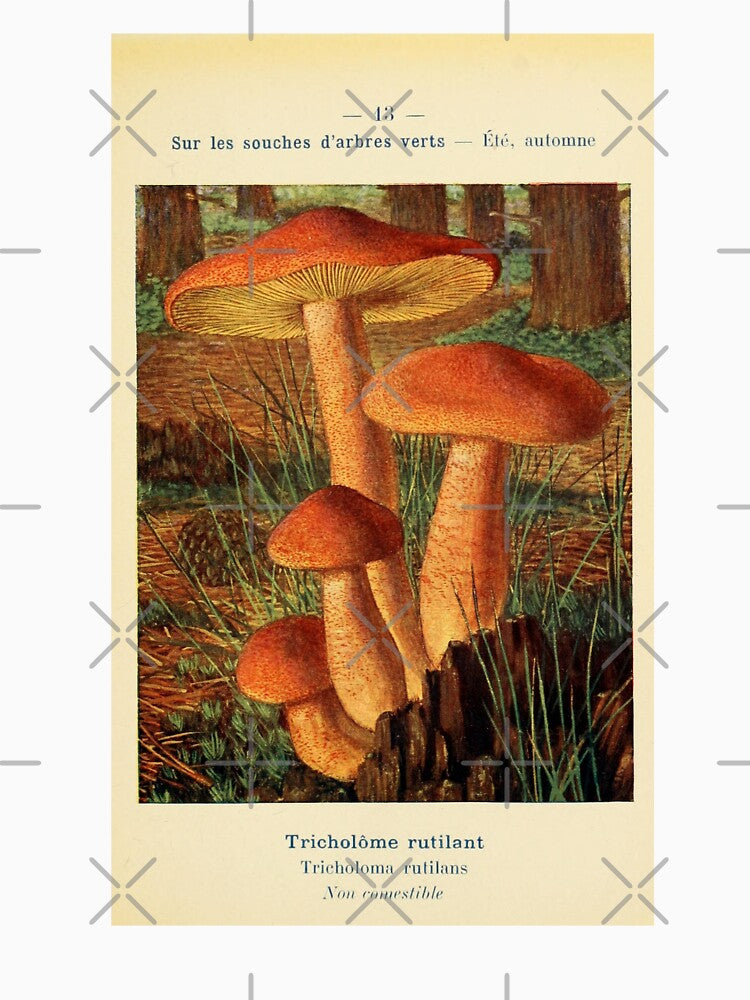 Vintage Illustration Orange Mushrooms by bookishneighbor T-Shirts, Hoodie, Sweatshirt | BlankRebels.com (Image 3)